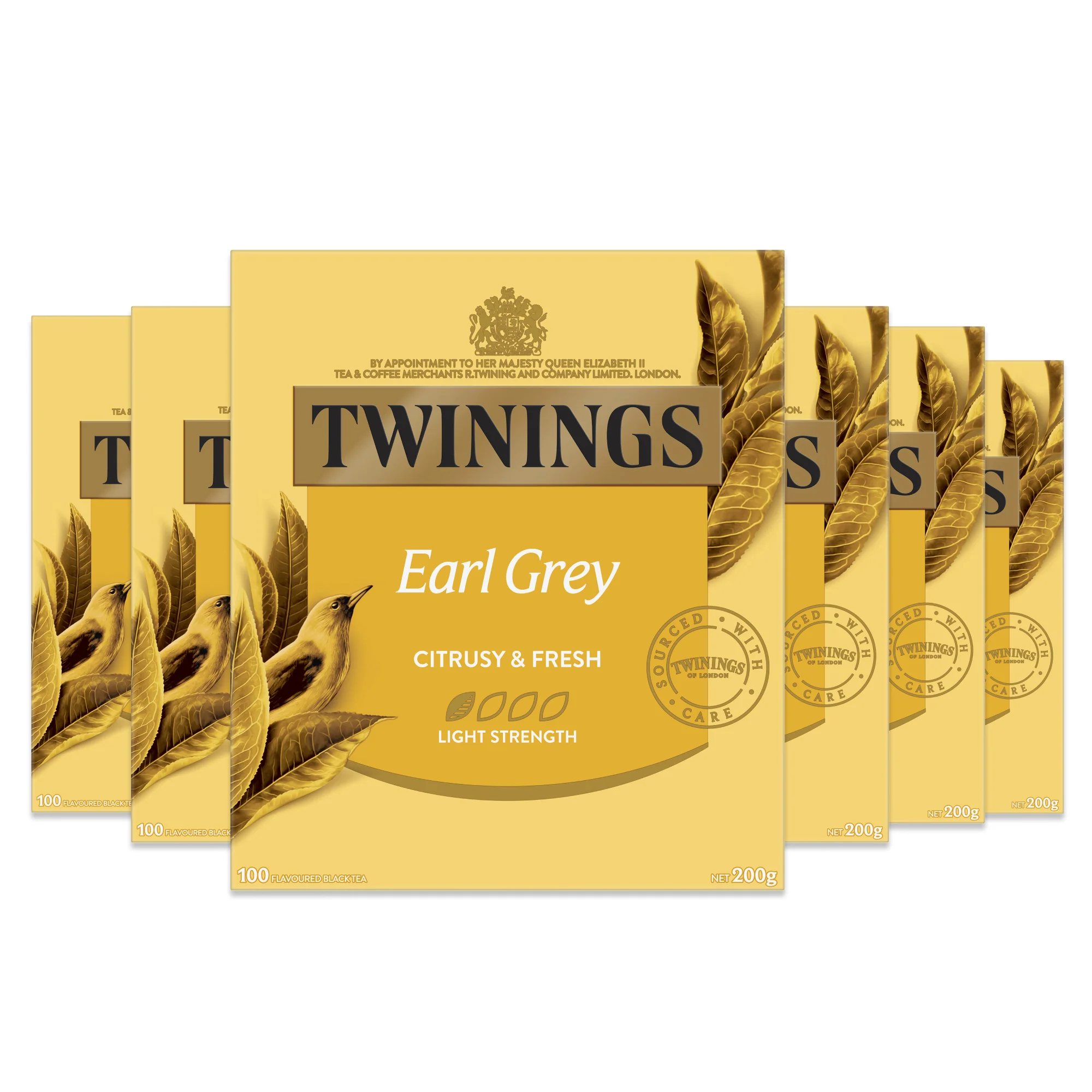 Earl Grey 6 Pack Bundle