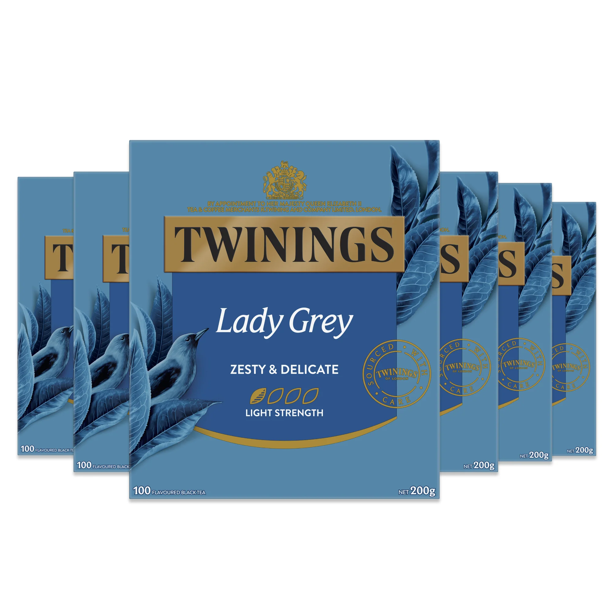 Lady Grey 6 Pack Bundle