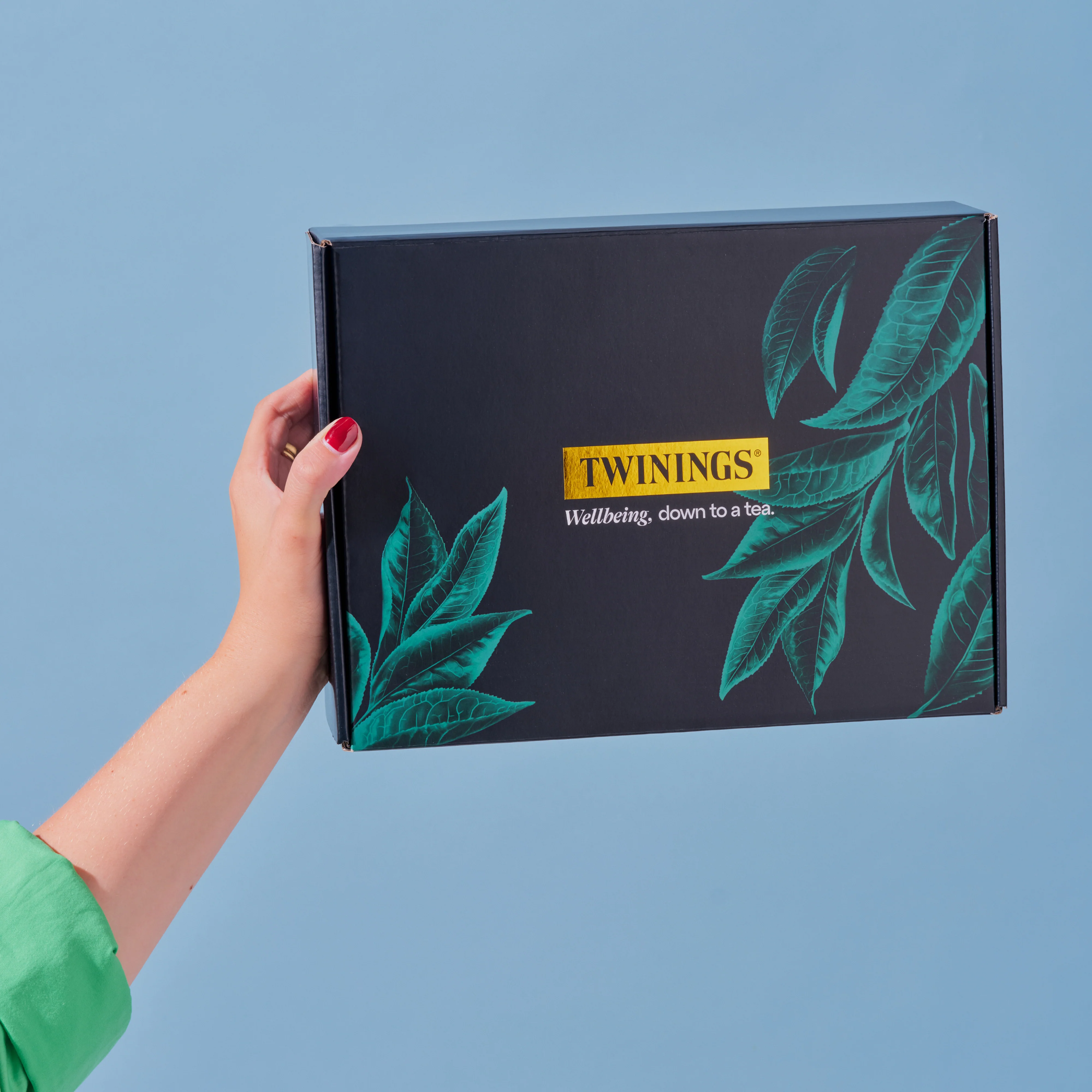 Green Tea Selection Gift Box - Small - Image 3