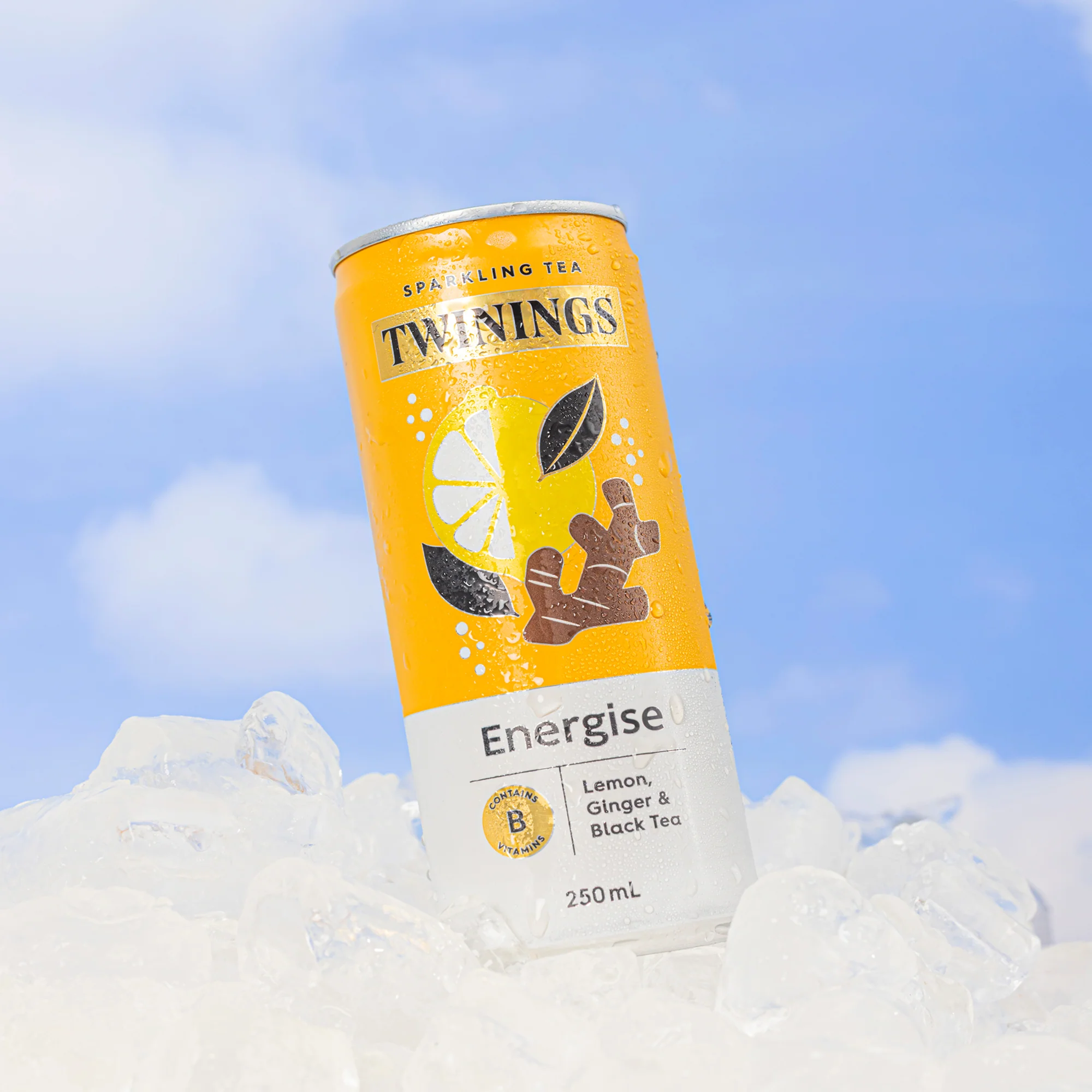 Sparkling Tea variety 12 pack - Image 4