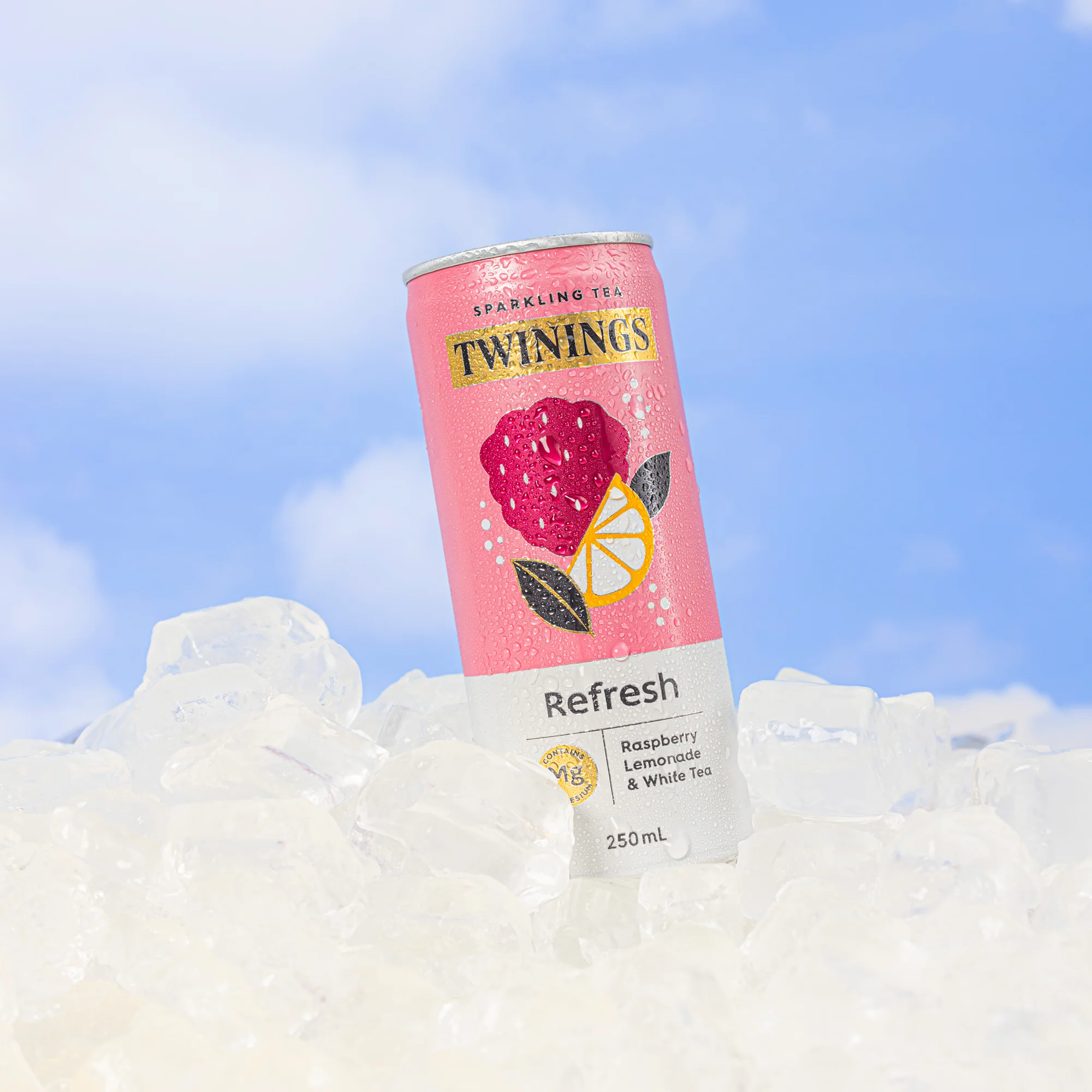 Sparkling Tea variety 12 pack - Image 6